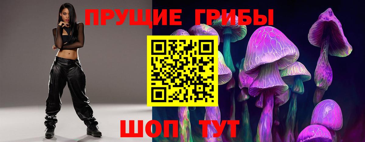 Псилоцибиновые грибы Magic Shrooms Вятские Поляны