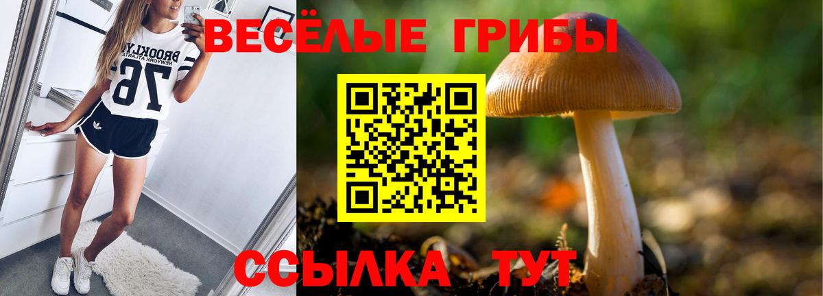 где купить наркотик  Вход с VPN  Вятские Поляны  Галлюциногенные грибы Psilocybine cubensis  Галлюциногенные грибы Psilocybine cubensis 