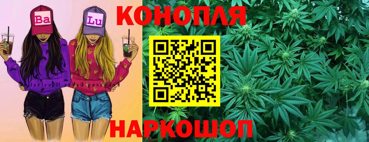 Каннабис White Widow Вятские Поляны